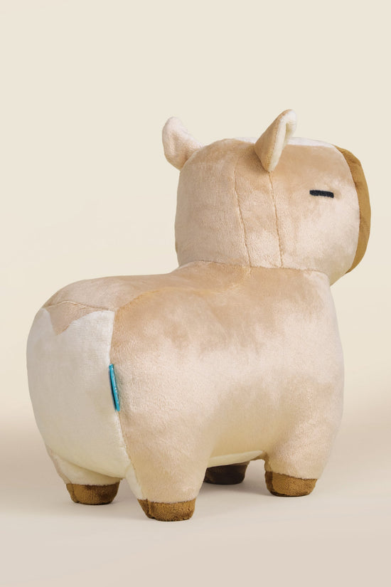 Cappi the Capybara