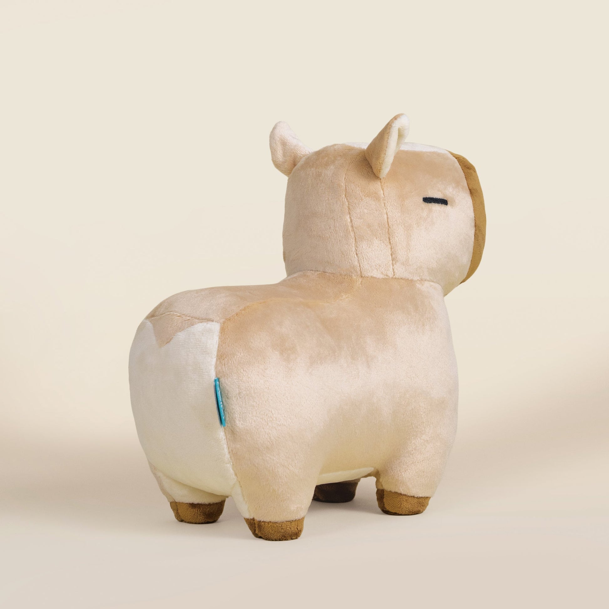 Cappi the Capybara