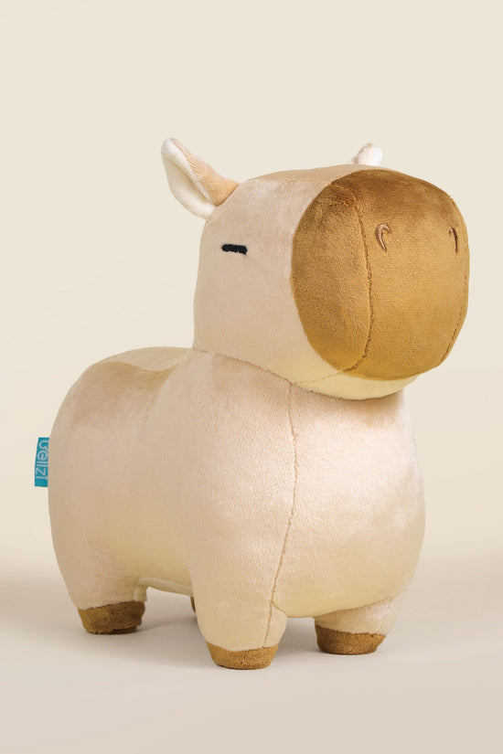 Cappi the Capybara
