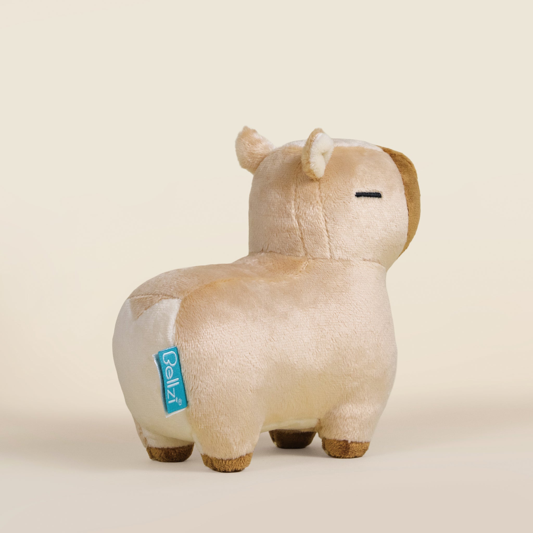 Mini Cappi the Capybara