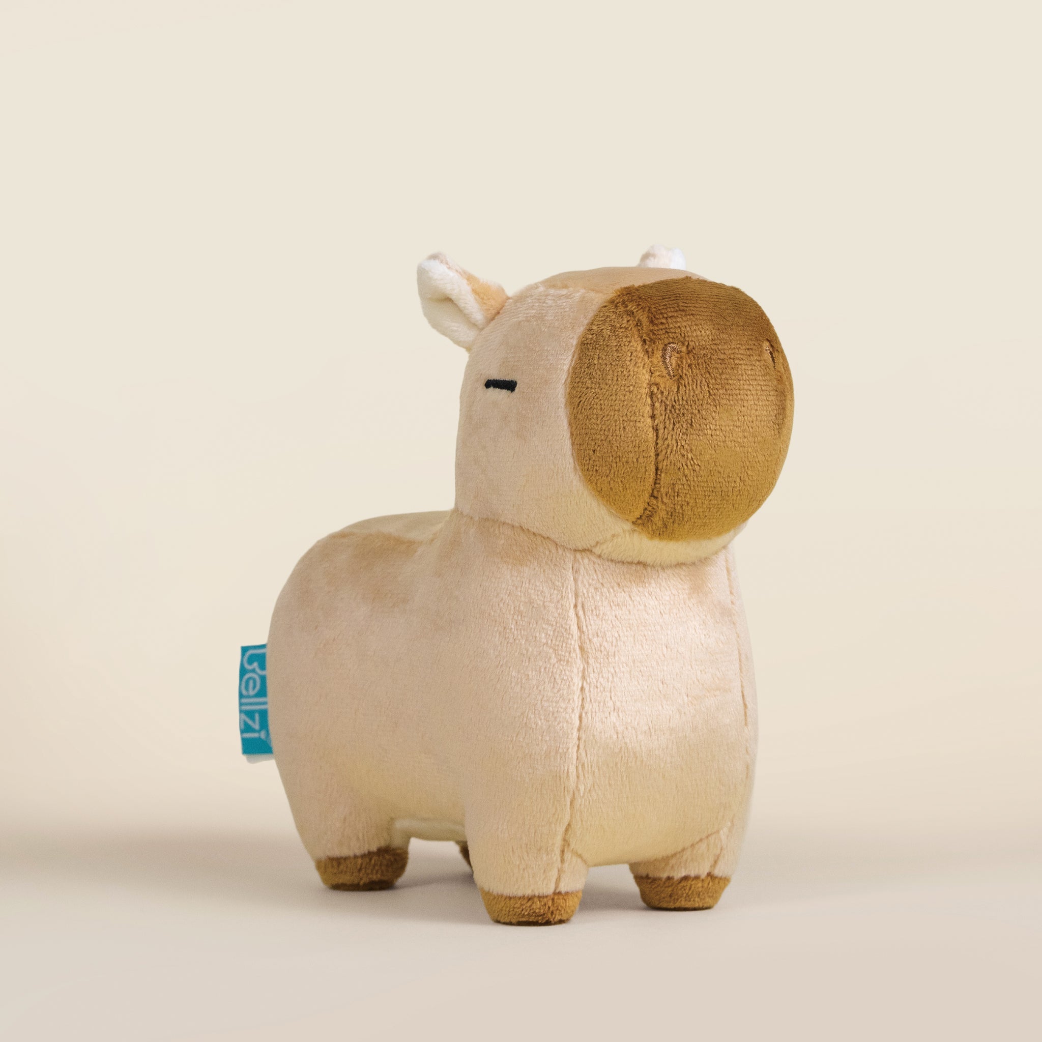 Mini Cappi the Capybara