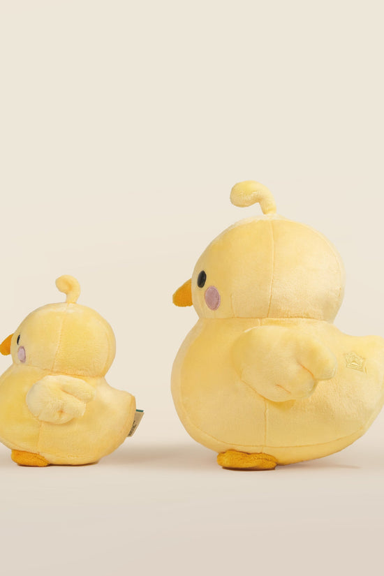 Chicki the Chick
