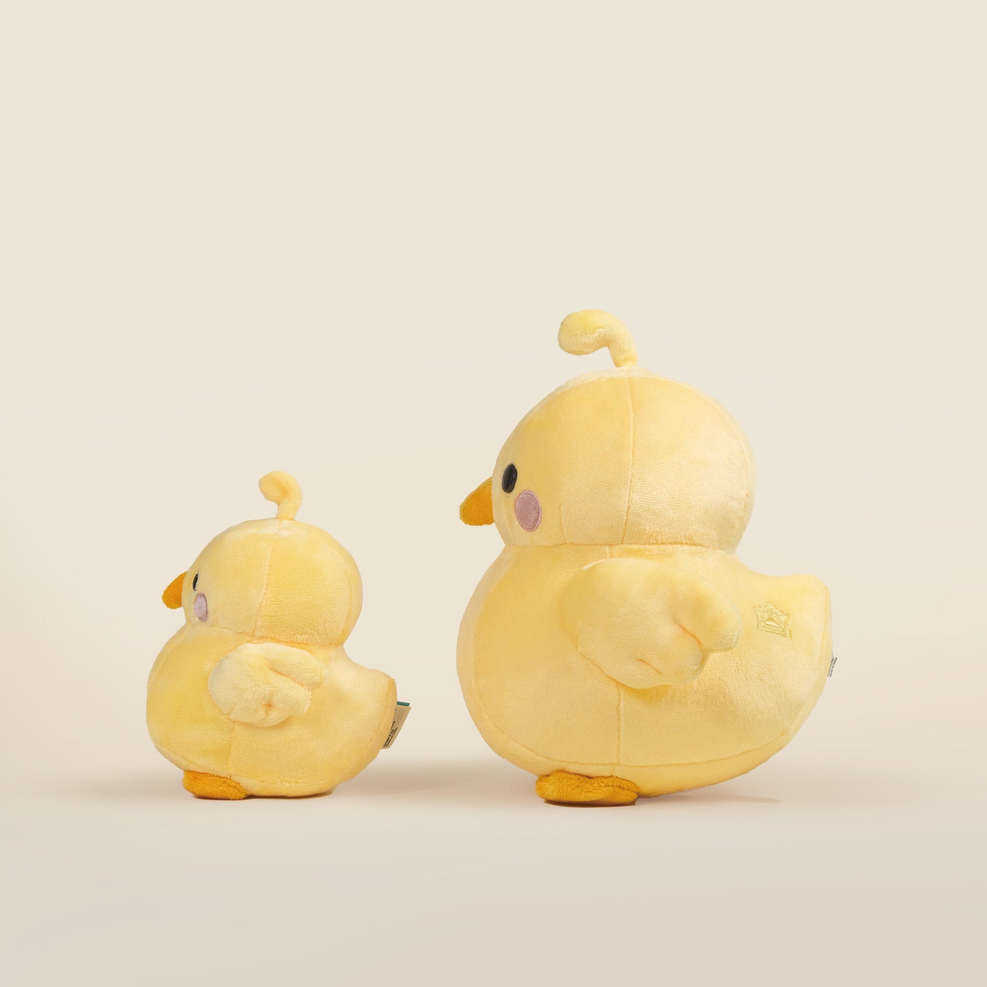 Chicki the Chick