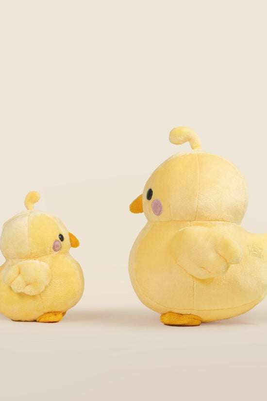 Chicki the Chick