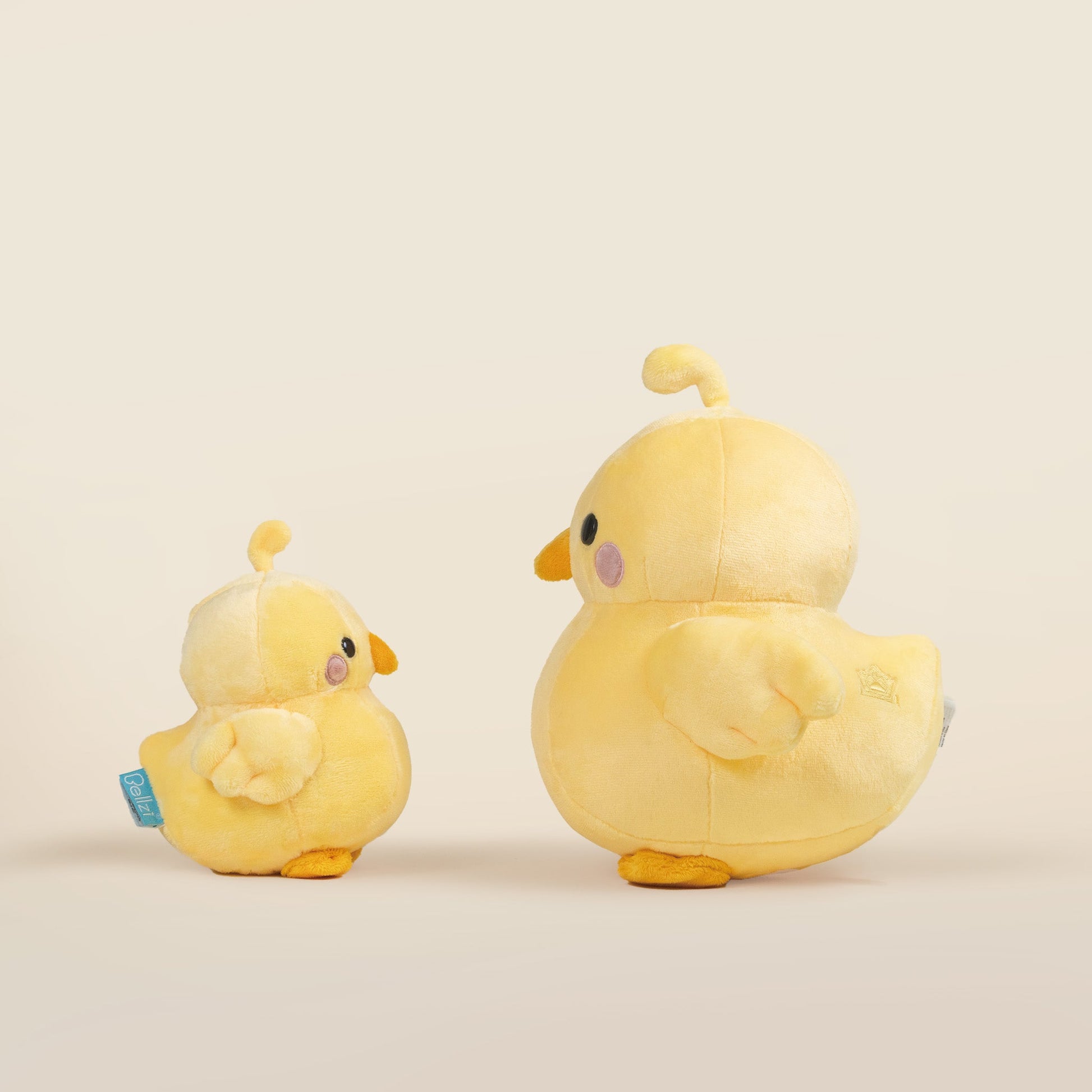 Chicki the Chick