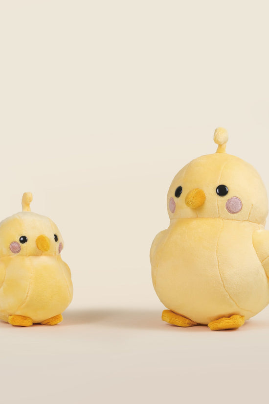 Chicki the Chick