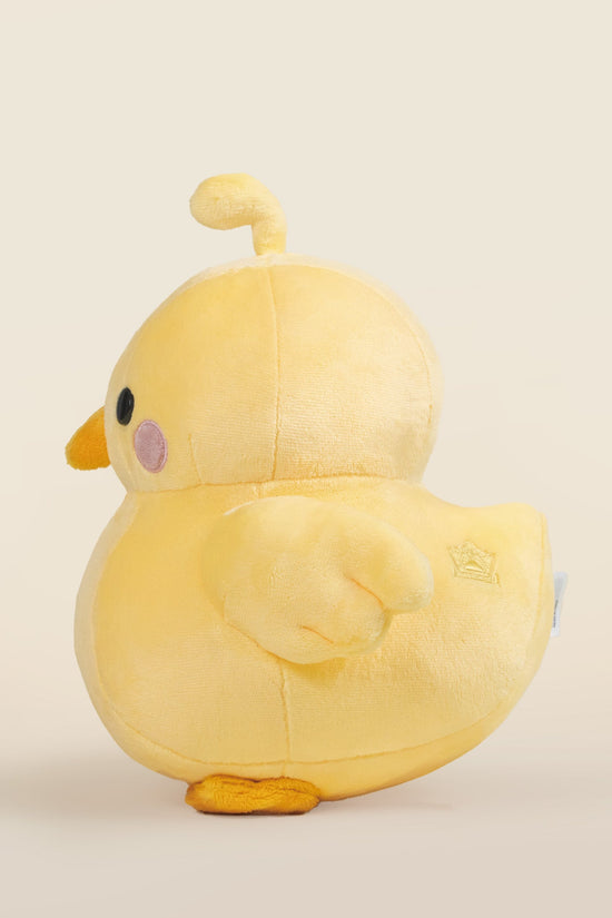 Chicki the Chick