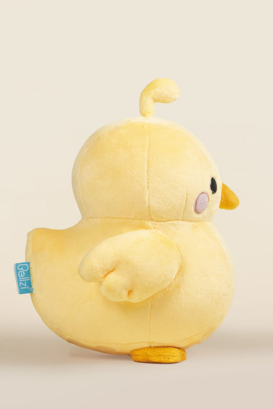 Chicki the Chick