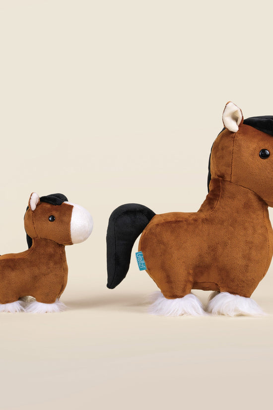 Mini Clydesdale the Horsi