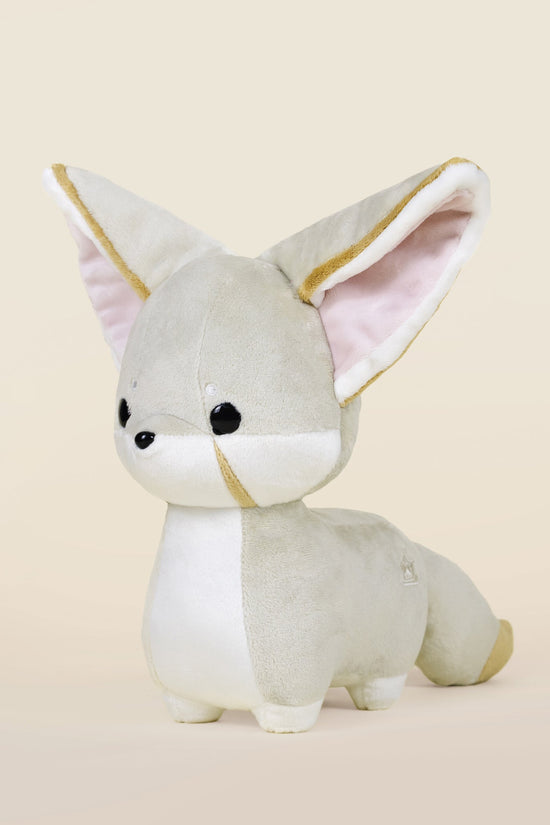 Fenni the Fennec Fox
