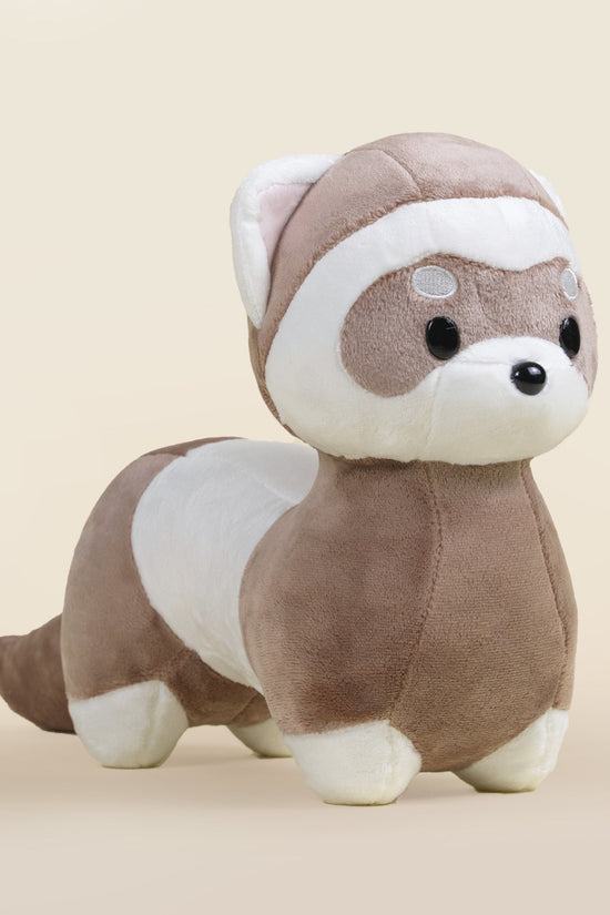 Ferri the Ferret