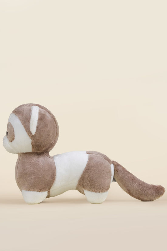 Mini Ferri the Ferret