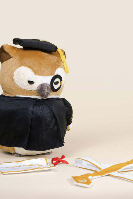 Graduation Owli
