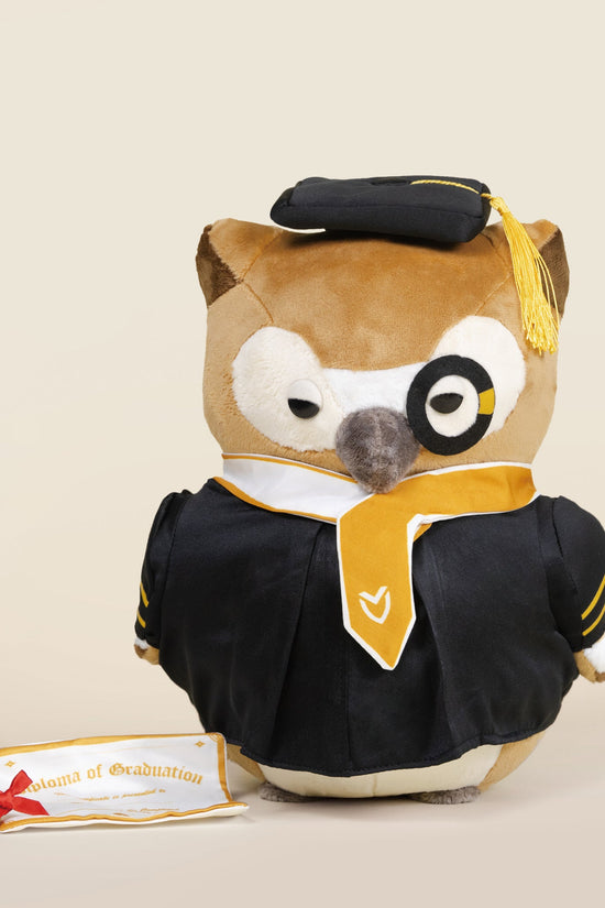 Graduation Owli