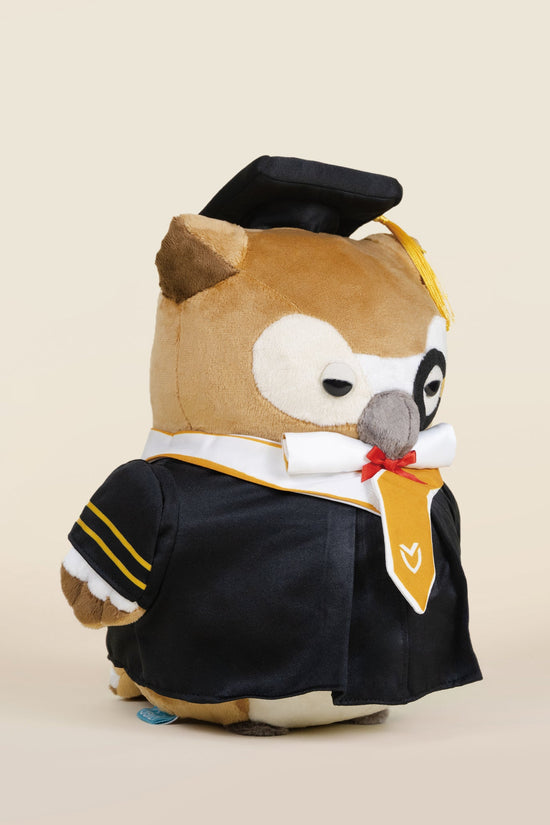 Graduation Owli