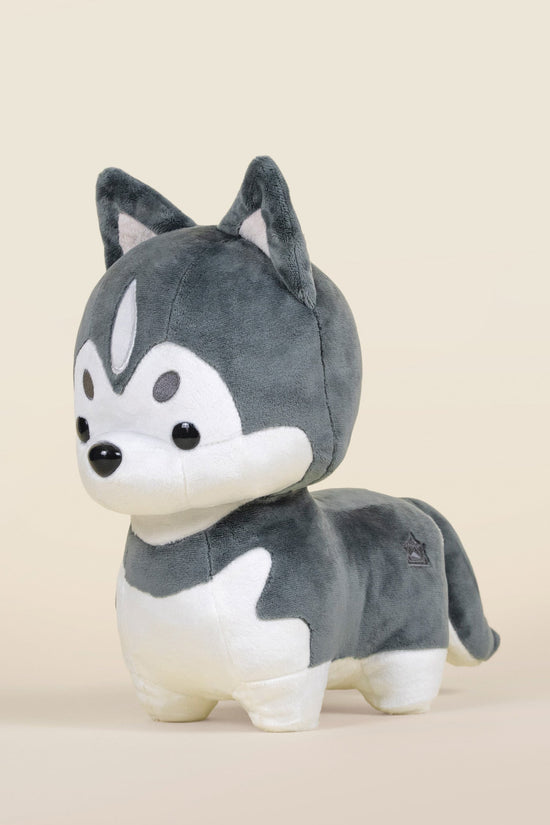 Huski the Siberian Husky