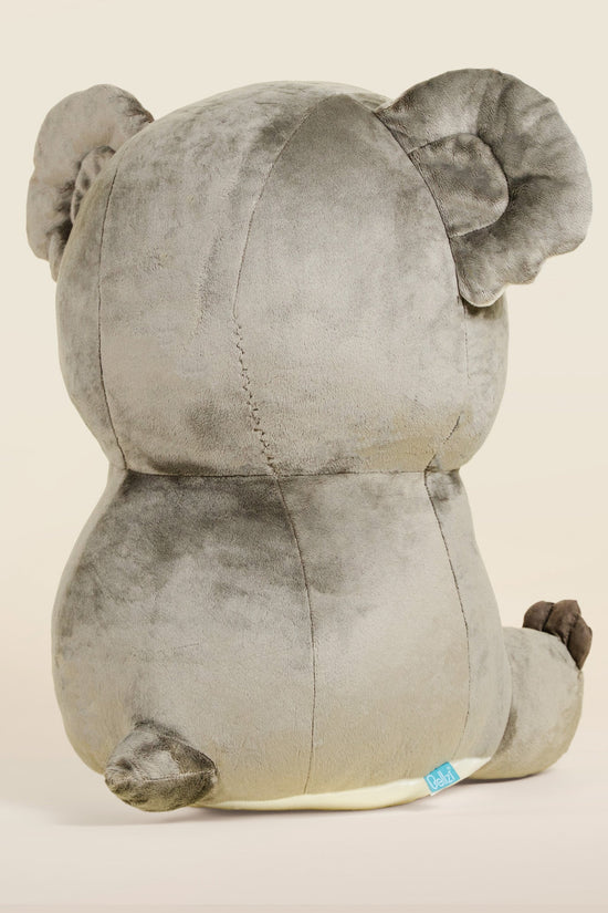Giant Koali the Koala