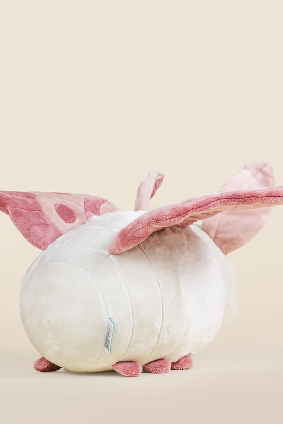 Mothi the Moth