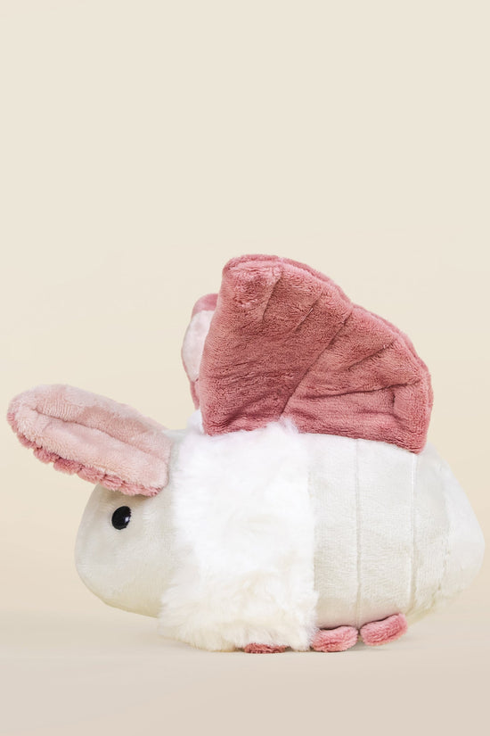 Mini Mothi the Moth