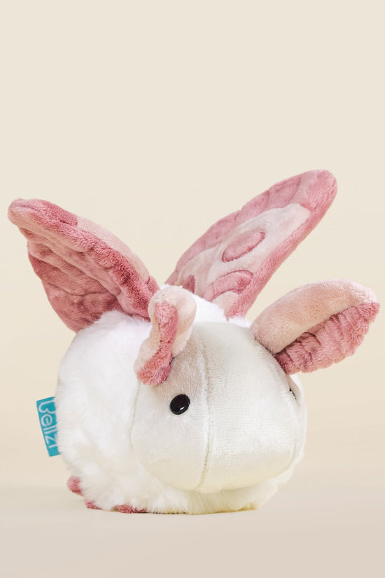 Mini Mothi the Moth