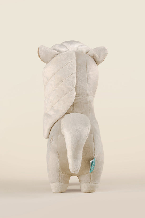 Palomino the Horsi