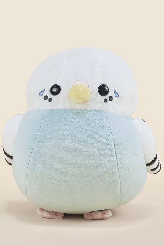 Paraki the Parakeet