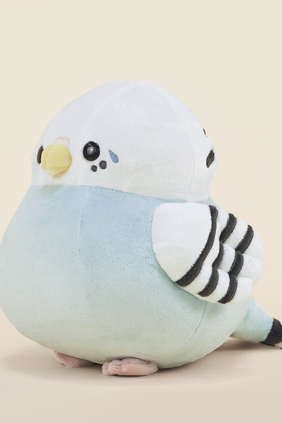 Paraki the Parakeet