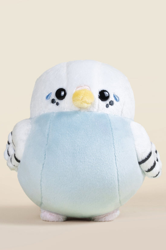 Mini Paraki the Parakeet
