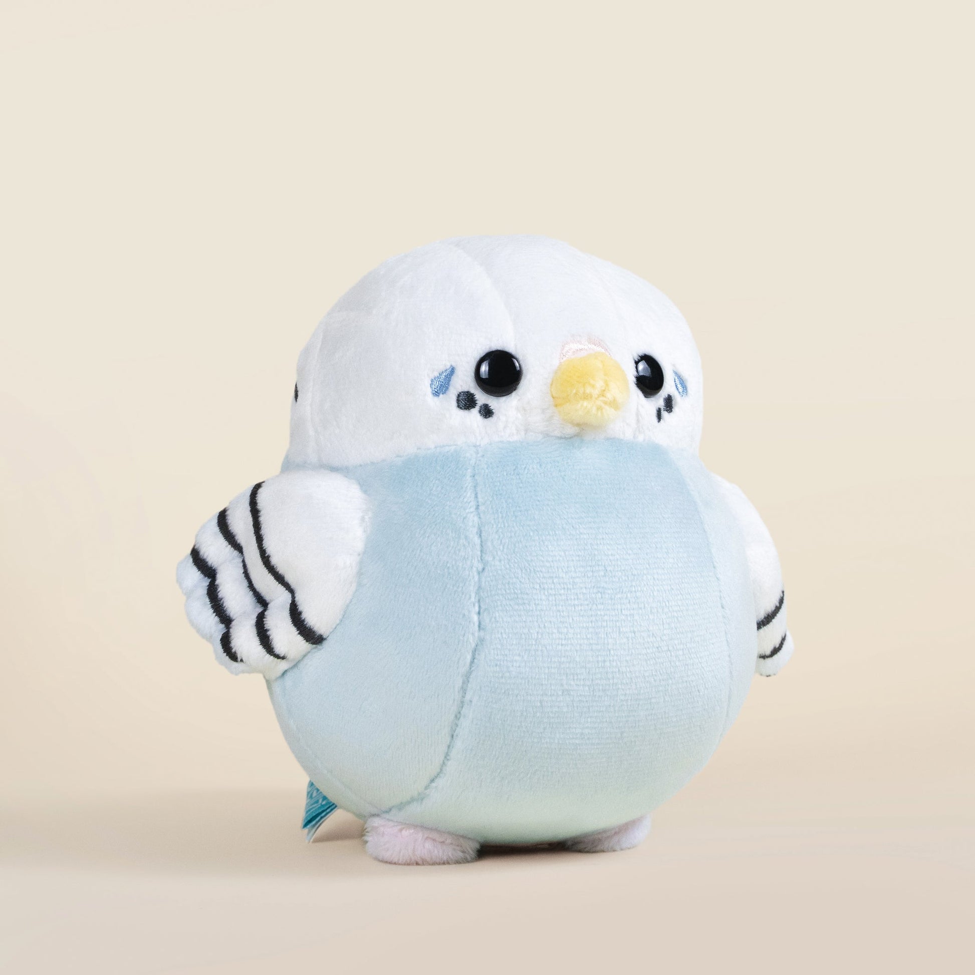 Mini Paraki the Parakeet