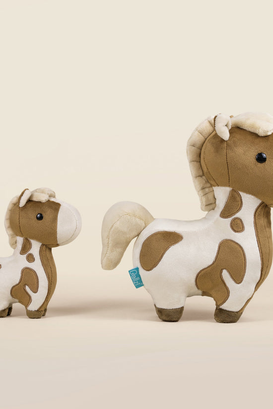 Mini Pinto the Horsi