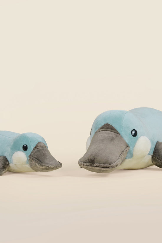 Mini Plati the Platypus