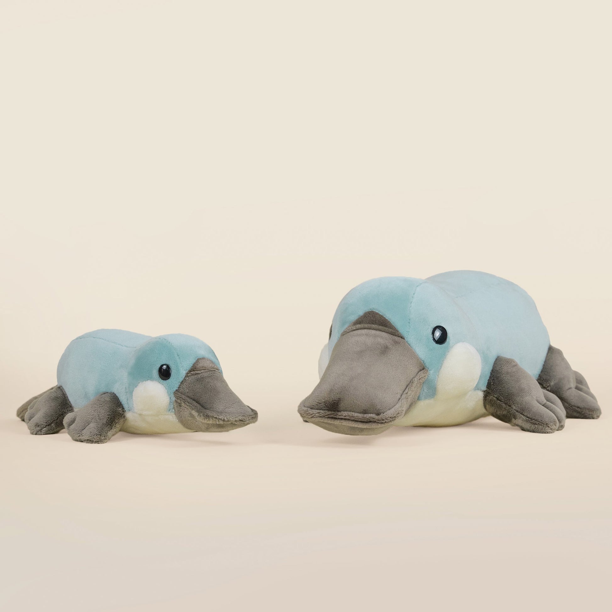 Mini Plati the Platypus