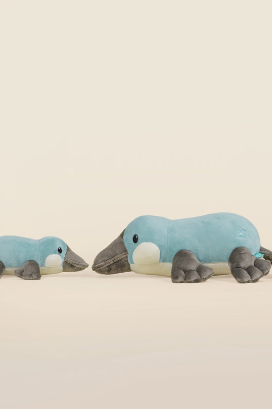 Mini Plati the Platypus