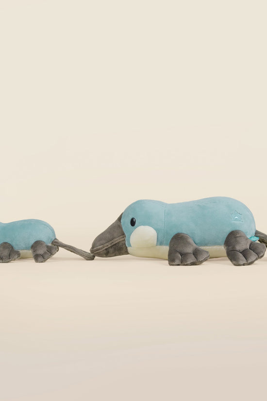 Mini Plati the Platypus