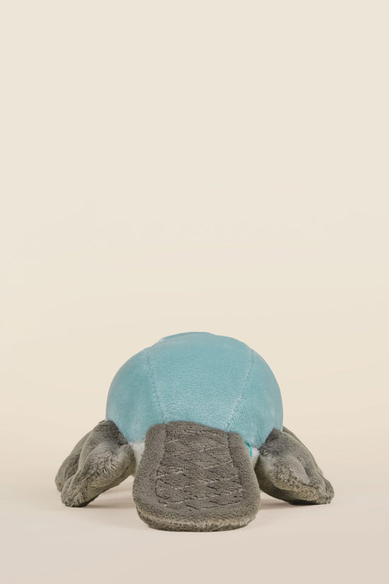 Mini Plati the Platypus