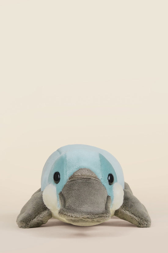 Mini Plati the Platypus