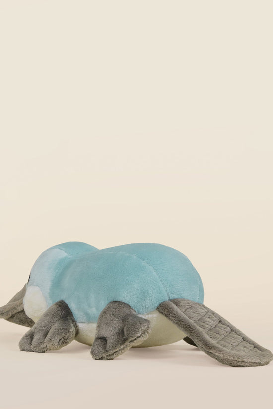 Mini Plati the Platypus