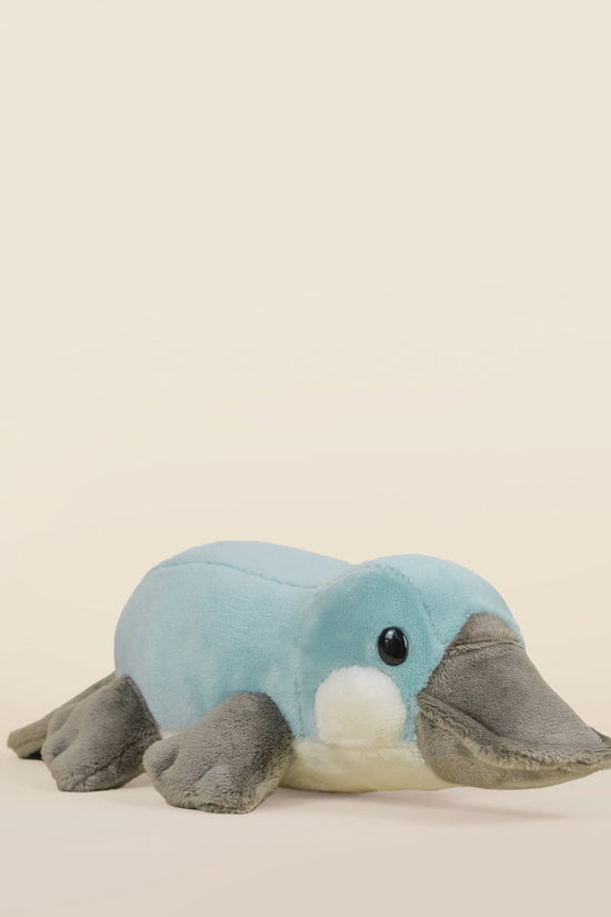 Mini Plati the Platypus