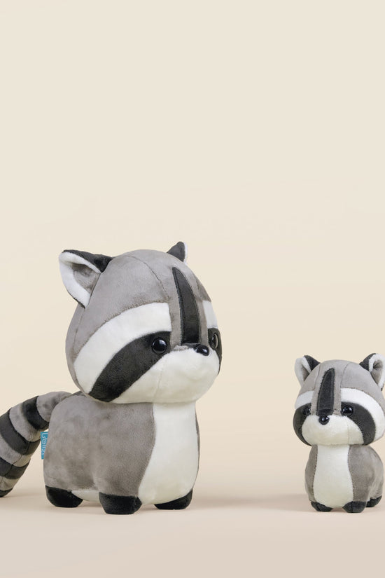 Raccooni the Raccoon