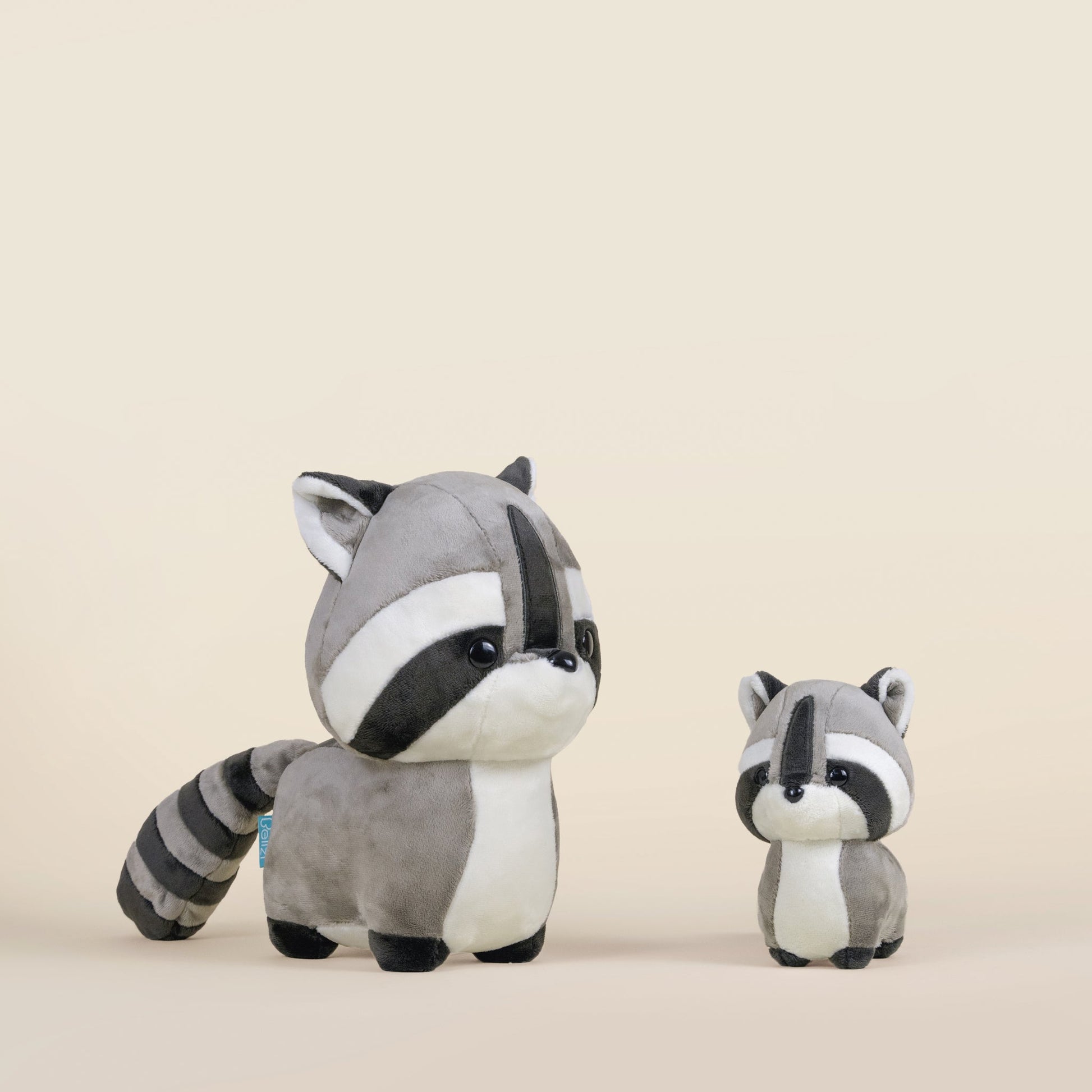 Raccooni the Raccoon