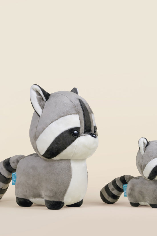 Raccooni the Raccoon