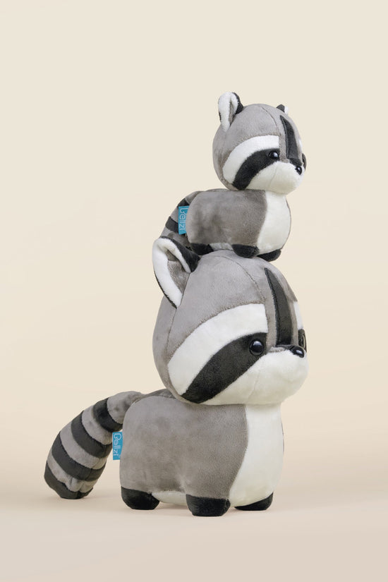 Raccooni the Raccoon