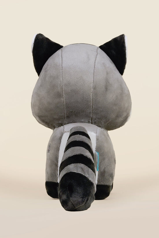 Raccooni the Raccoon