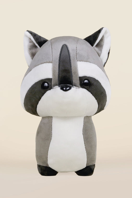 Raccooni the Raccoon