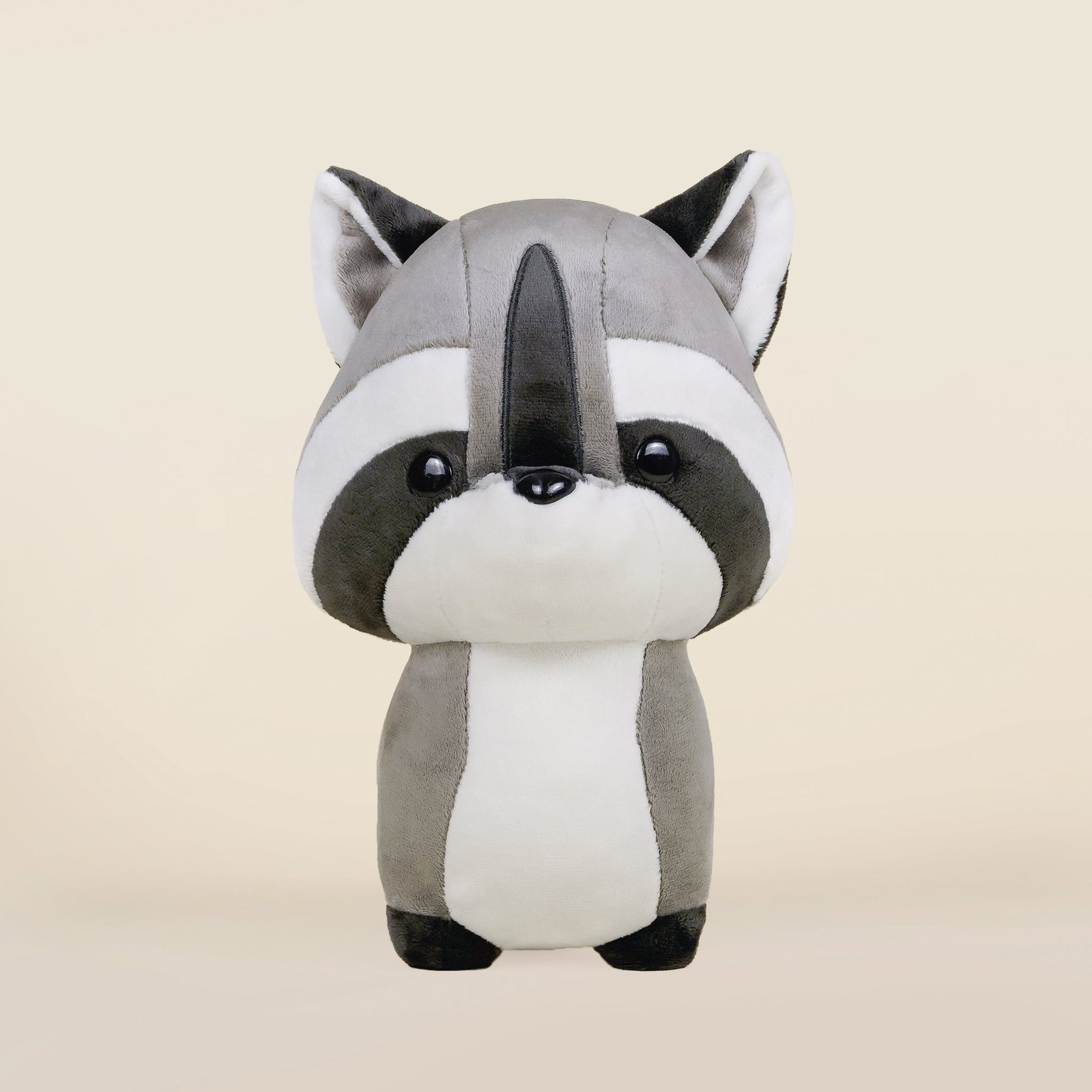 Raccooni the Raccoon