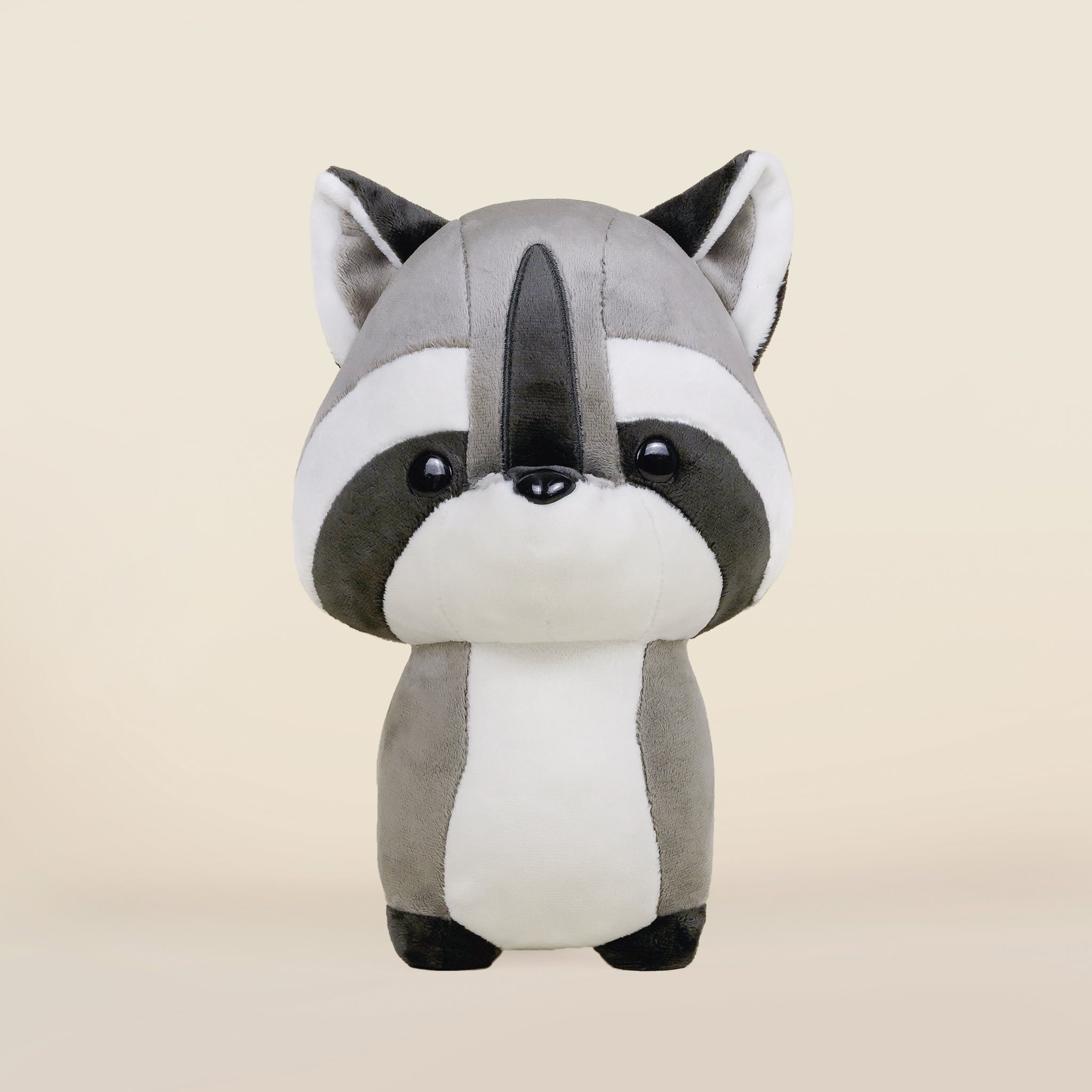Raccooni the Raccoon