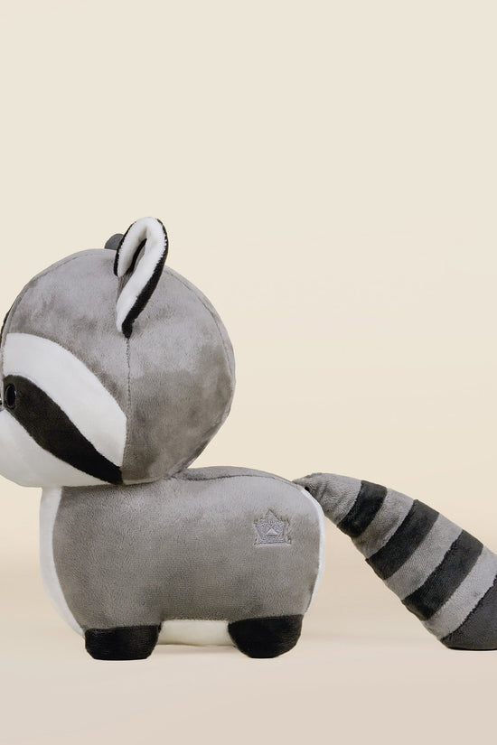 Raccooni the Raccoon