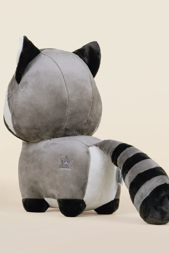 Raccooni the Raccoon