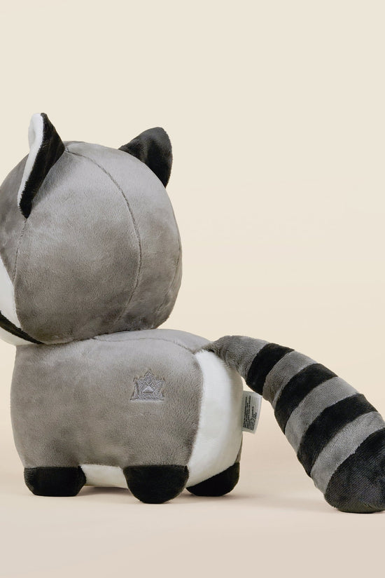 Raccooni the Raccoon