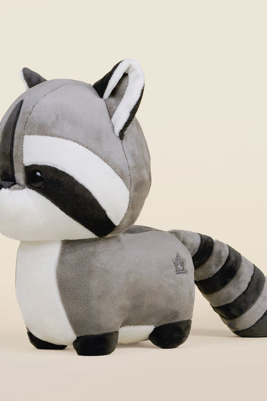 Raccooni the Raccoon